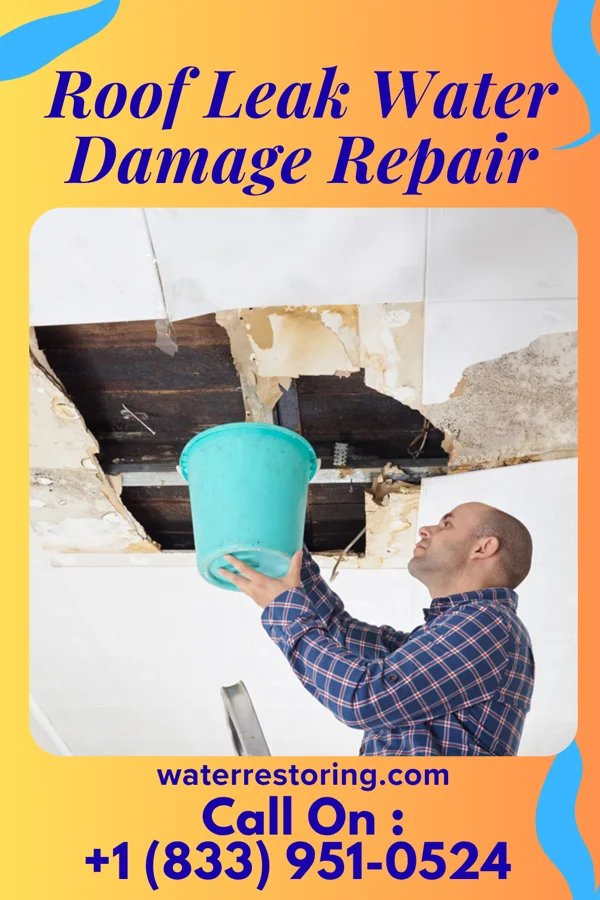 Roof Leak Water Damage Repair in Ashley, MO