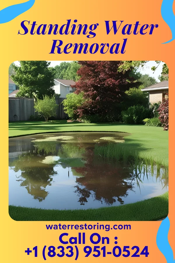 Standing Water Removal in Ashley, MO